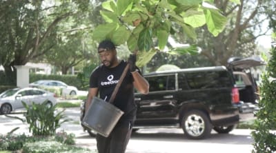 Christmas tree delivery business in Orlando expands. Here's what else you can get